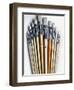 Set of Artist Paintbrushes Fan Out-Winfred Evers-Framed Photographic Print