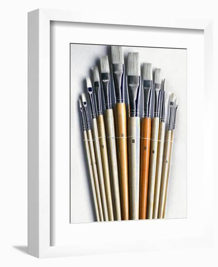 Set of Artist Paintbrushes Fan Out-Winfred Evers-Framed Photographic Print