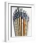 Set of Artist Paintbrushes Fan Out-Winfred Evers-Framed Photographic Print