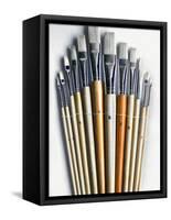 Set of Artist Paintbrushes Fan Out-Winfred Evers-Framed Stretched Canvas