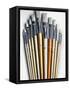 Set of Artist Paintbrushes Fan Out-Winfred Evers-Framed Stretched Canvas