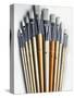 Set of Artist Paintbrushes Fan Out-Winfred Evers-Stretched Canvas