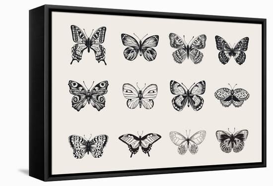 Set of Butterflies. Vector Vintage Classic Illustration. Black and White-Olga Korneeva-Framed Stretched Canvas