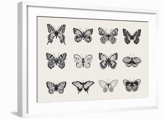 Set of Butterflies. Vector Vintage Classic Illustration. Black and White-Olga Korneeva-Framed Art Print