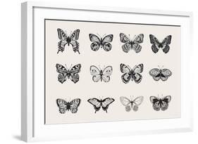 Set of Butterflies. Vector Vintage Classic Illustration. Black and White-Olga Korneeva-Framed Art Print