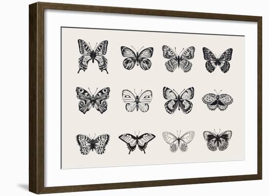 Set of Butterflies. Vector Vintage Classic Illustration. Black and White-Olga Korneeva-Framed Art Print