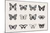Set of Butterflies. Vector Vintage Classic Illustration. Black and White-Olga Korneeva-Mounted Art Print