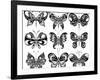 Set of Butterflies-worksart-Framed Art Print