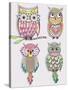 Set Of Cute Colorful Owls-cherry blossom girl-Stretched Canvas