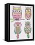 Set Of Cute Colorful Owls-cherry blossom girl-Framed Stretched Canvas