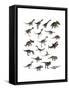 Set of Dinosaurs-null-Framed Stretched Canvas