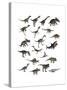 Set of Dinosaurs-null-Stretched Canvas