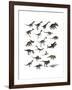 Set of Dinosaurs-null-Framed Art Print