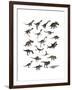 Set of Dinosaurs-null-Framed Art Print