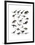 Set of Dinosaurs-null-Framed Art Print