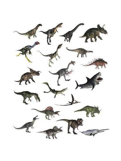 Art Print, , large