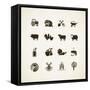 Set of Farm Icons-PureSolution-Framed Stretched Canvas