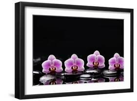 Set of Four Orchid with Therapy Stones-crystalfoto-Framed Photographic Print