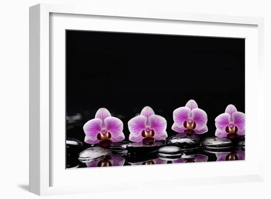 Set of Four Orchid with Therapy Stones-crystalfoto-Framed Photographic Print