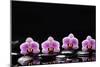 Set of Four Orchid with Therapy Stones-crystalfoto-Mounted Photographic Print