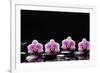 Set of Four Orchid with Therapy Stones-crystalfoto-Framed Photographic Print