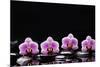 Set of Four Orchid with Therapy Stones-crystalfoto-Mounted Photographic Print