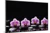 Set of Four Orchid with Therapy Stones-crystalfoto-Mounted Photographic Print