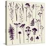 Set of Illustrations of Plants. Herbarium. Silhouettes. Sketch. Freehand Drawing.-xenia_ok-Stretched Canvas