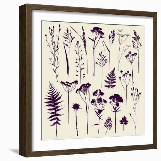 Set of Illustrations of Plants. Herbarium. Silhouettes. Sketch. Freehand Drawing.-xenia_ok-Framed Art Print