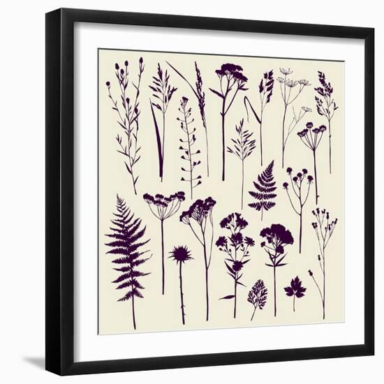 Set of Illustrations of Plants. Herbarium. Silhouettes. Sketch. Freehand Drawing.-xenia_ok-Framed Art Print