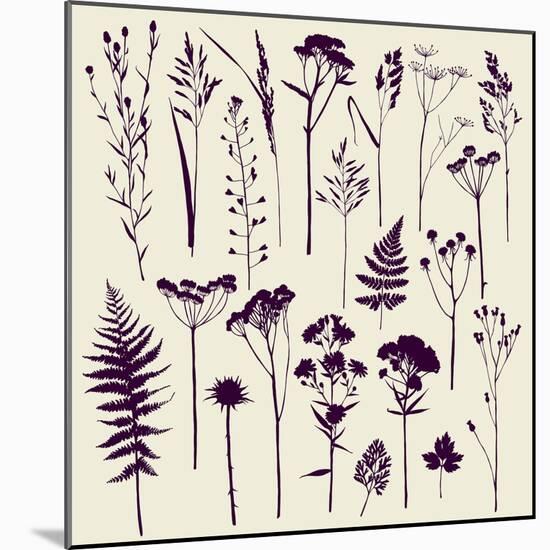 Set of Illustrations of Plants. Herbarium. Silhouettes. Sketch. Freehand Drawing.-xenia_ok-Mounted Art Print