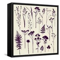 Set of Illustrations of Plants. Herbarium. Silhouettes. Sketch. Freehand Drawing.-xenia_ok-Framed Stretched Canvas