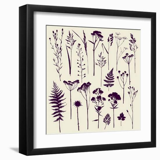 Set of Illustrations of Plants. Herbarium. Silhouettes. Sketch. Freehand Drawing.-xenia_ok-Framed Art Print