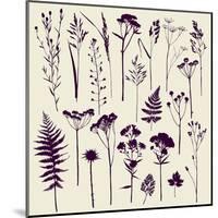 Set of Illustrations of Plants. Herbarium. Silhouettes. Sketch. Freehand Drawing.-xenia_ok-Mounted Art Print