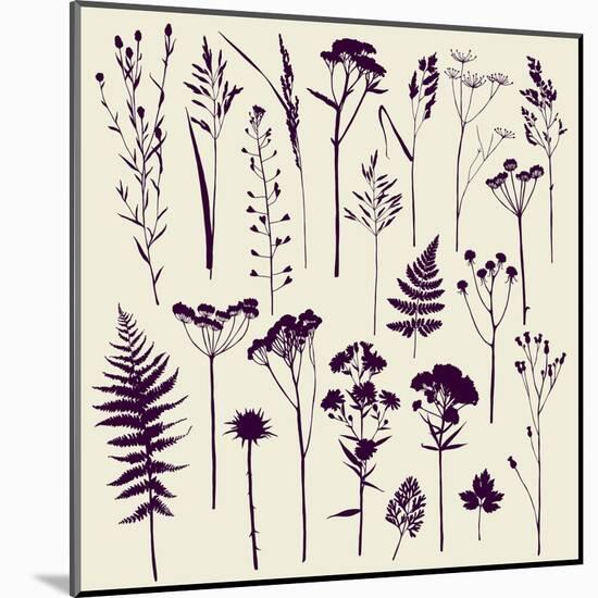 Set of Illustrations of Plants. Herbarium. Silhouettes. Sketch. Freehand Drawing.-xenia_ok-Mounted Art Print