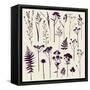 Set of Illustrations of Plants. Herbarium. Silhouettes. Sketch. Freehand Drawing.-xenia_ok-Framed Stretched Canvas