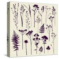 Set of Illustrations of Plants. Herbarium. Silhouettes. Sketch. Freehand Drawing.-xenia_ok-Stretched Canvas