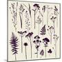 Set of Illustrations of Plants. Herbarium. Silhouettes. Sketch. Freehand Drawing.-xenia_ok-Mounted Premium Giclee Print