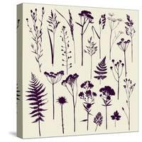 Set of Illustrations of Plants. Herbarium. Silhouettes. Sketch. Freehand Drawing.-xenia_ok-Stretched Canvas