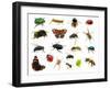 Set of Insects on White-Ale-ks-Framed Premium Photographic Print