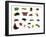 Set of Insects on White-Ale-ks-Framed Photographic Print