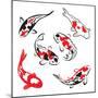 Set Of Koi Fish Illustration-Pixelcraft-Mounted Art Print