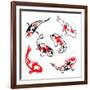 Set Of Koi Fish Illustration-Pixelcraft-Framed Art Print