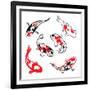 Set Of Koi Fish Illustration-Pixelcraft-Framed Art Print