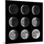 Set of Moon Phases for New, Half, and Full-David Carillet-Mounted Photographic Print