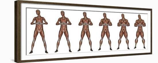 Set of Six Men Showing Progression to Become a Muscular Man-null-Framed Premium Giclee Print