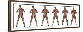 Set of Six Men Showing Progression to Become a Muscular Man-null-Framed Premium Giclee Print