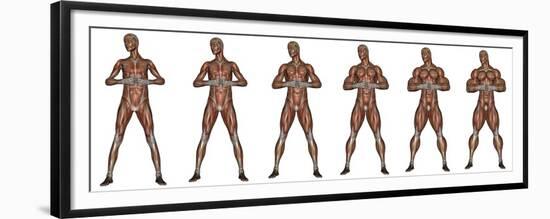 Set of Six Men Showing Progression to Become a Muscular Man-null-Framed Premium Giclee Print