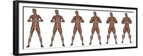 Set of Six Men Showing Progression to Become a Muscular Man-null-Framed Premium Giclee Print