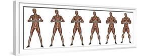 Set of Six Men Showing Progression to Become a Muscular Man-null-Framed Premium Giclee Print